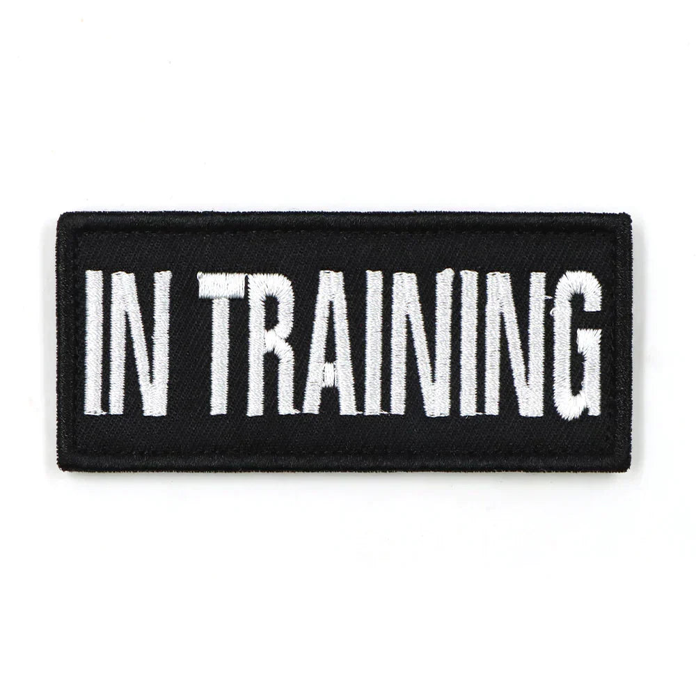 In Training Patch Black Hook And Loop Harness Patch Fall 2025 Trend Simple Attach For Walks And Training Status
