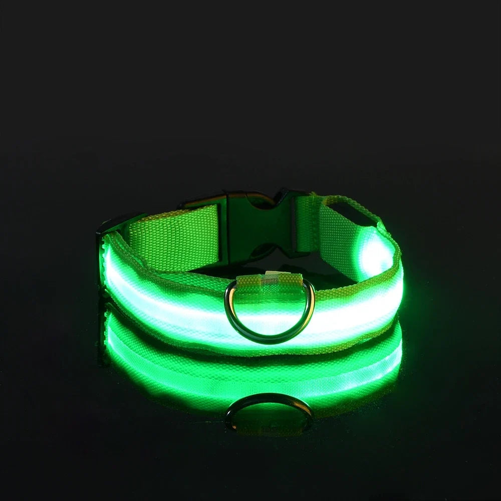 LED Dog Collar Glow In The Dark Night Safety Luminous Fall 2026 Trend Great Gift Idea