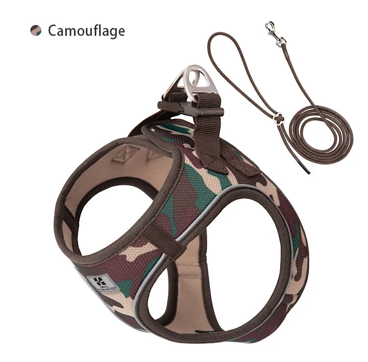 Dog Harness Leash Kit Reflective Padded Vest All Seasons Outdoor Walking Gift Idea