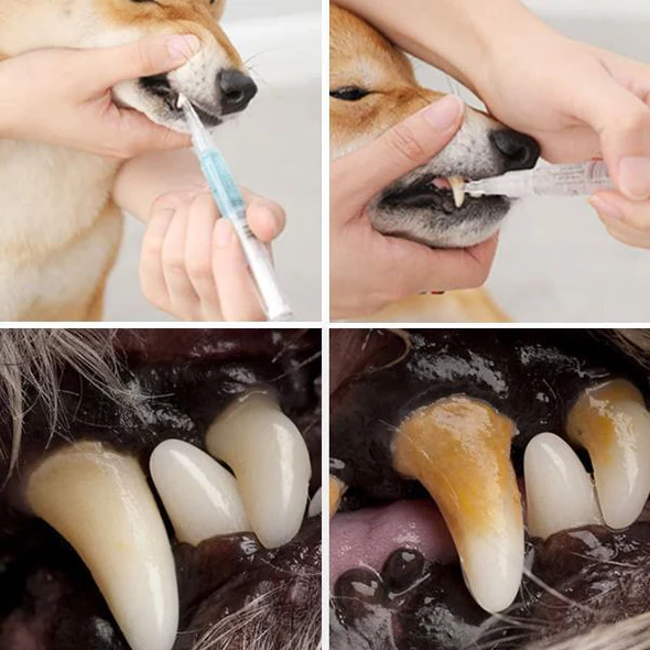 Dog Dental Maintenance Gel Tartar Remover For Household Oral Hygiene, Prevent Dental Disease, 2026 Pet Health Trend