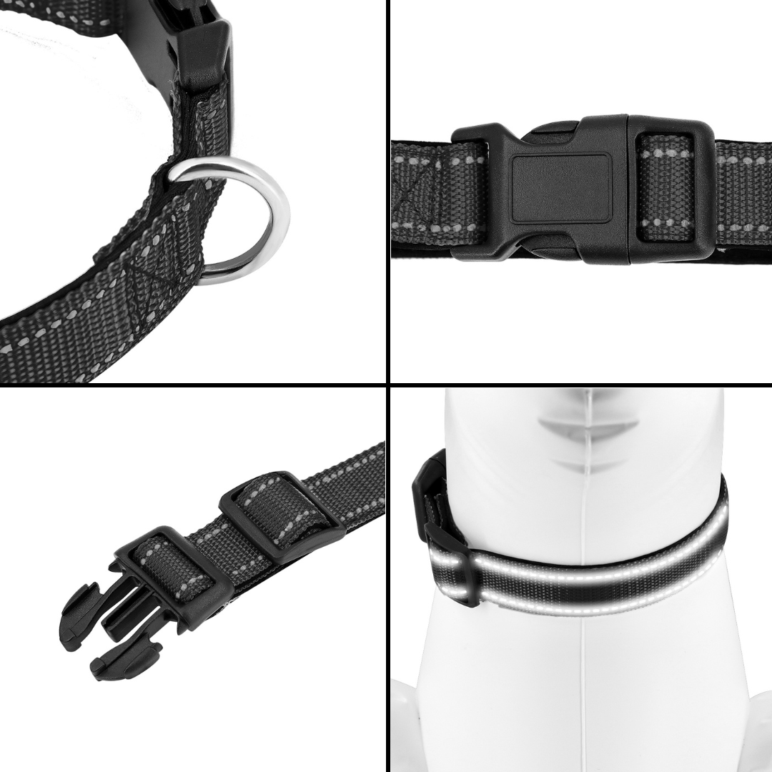 Reflective Dog Collar Fast-Lock Buckle - Safe Night Walks, Fall 2025 Gift Idea For Pets