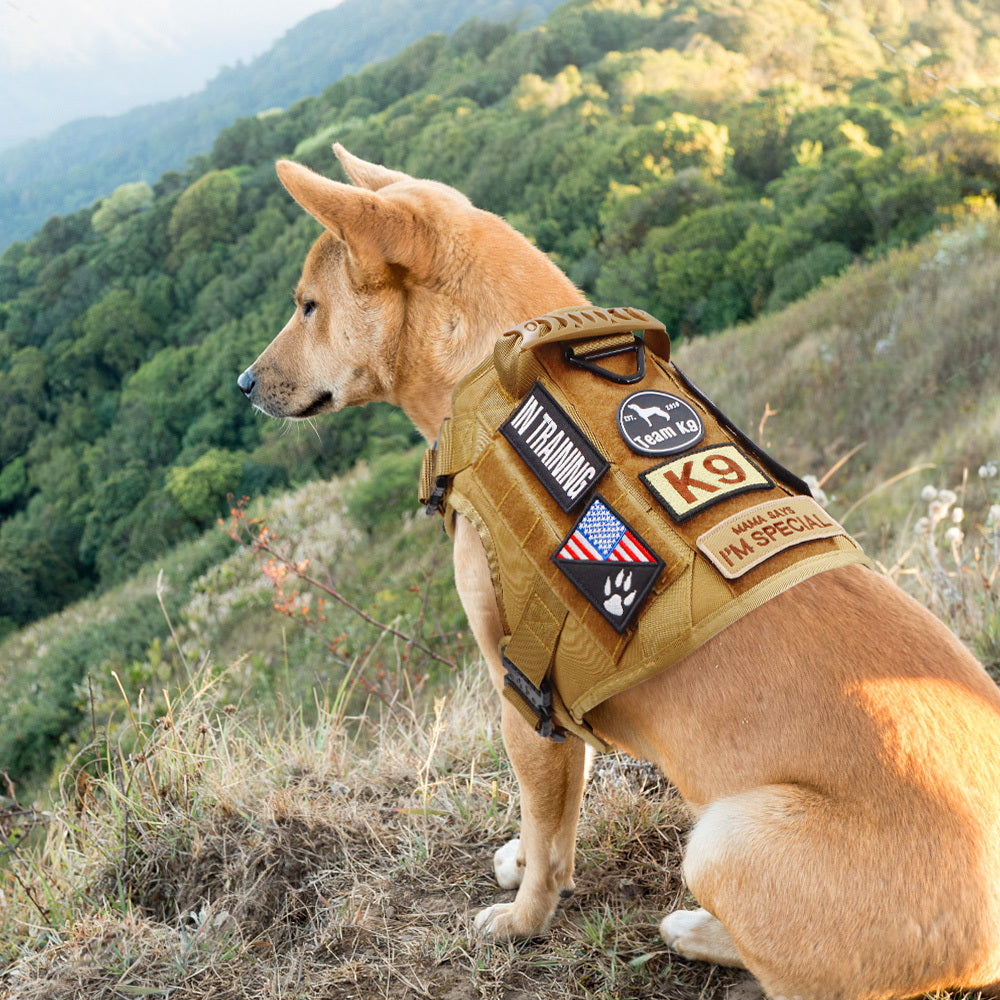 Tactical Dog Harness No-Pull With Front And Back D-Rings Fast-Release Buckles Top Handle Heavy-Duty Training