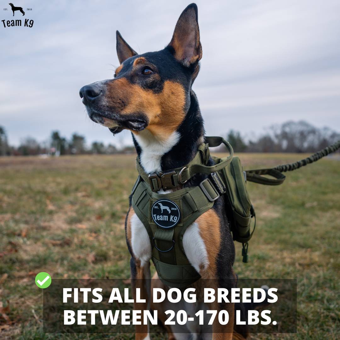 Tactical Dog Harness No-Pull With Front And Back D-Rings Fast-Release Buckles Top Handle Heavy-Duty Training