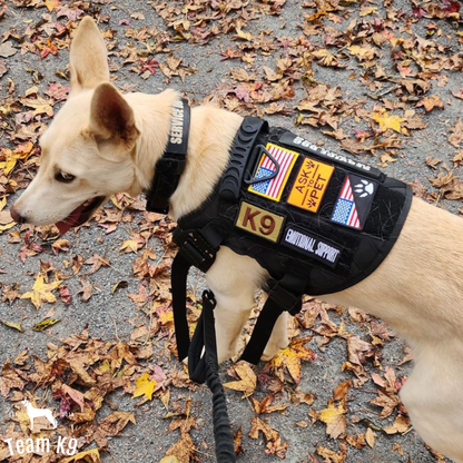 Tactical2025 Edition Dog Harness System All-In-One Training Bundle No-Pull Harness MOLLE Pouches Travel Water Bowl Holiday