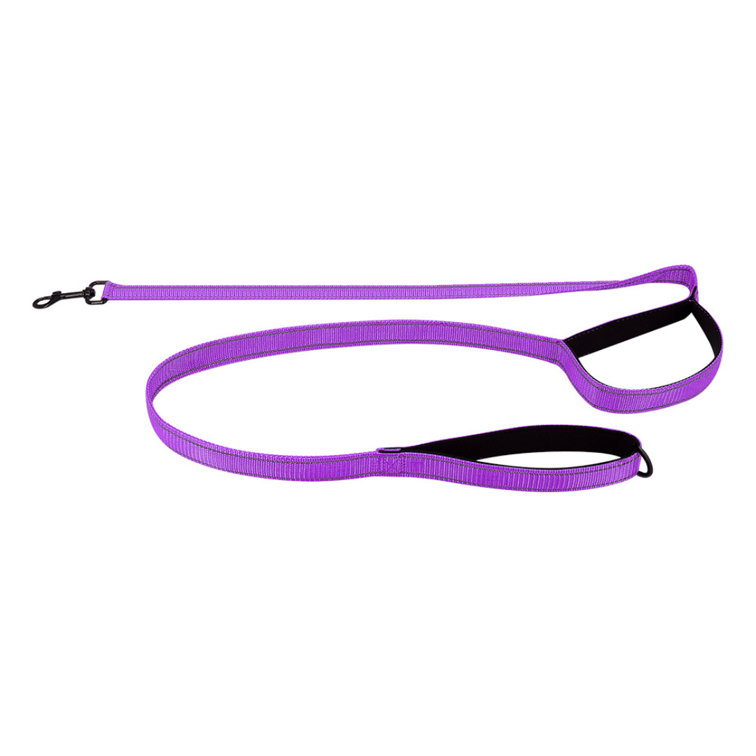 Traffic Handle, Nighttime Visibility, Fall 2025 Pet Safety – Reflective Dual-Handle Dog Leash