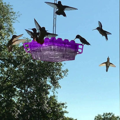 Feeder Hummingbird Ant Proof Outdoor Hanging Perch Hex
