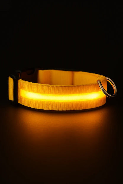 LED Dog Collar Battery-Powered Luminous Compact Dog Night Walks Fall 2025 Flashing Anti Lost Safety