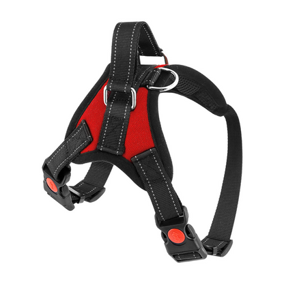 Dog Harness No-Choke Flexible Safety Harness Fall 2025 Trend Breathable Padding For Gentle Control