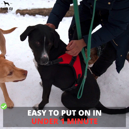 Dog Harness No-Choke Flexible Safety Harness Fall 2025 Trend Breathable Padding For Gentle Control