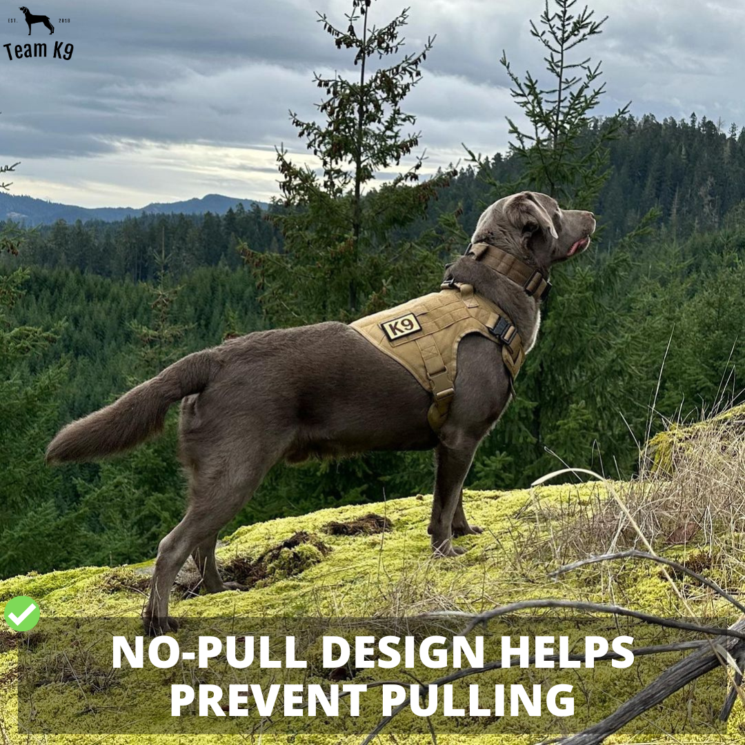 Tactical Dog Harness No-Pull With Front And Back D-Rings Fast-Release Buckles Top Handle Heavy-Duty Training