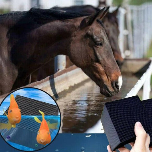 Purifier Water For Livestock Aquarium And Horse Trough With Activated Carbon Filter For Algae Removal