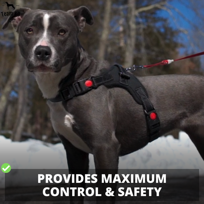 Dog Harness No-Choke Flexible Safety Harness Fall 2025 Trend Breathable Padding For Gentle Control