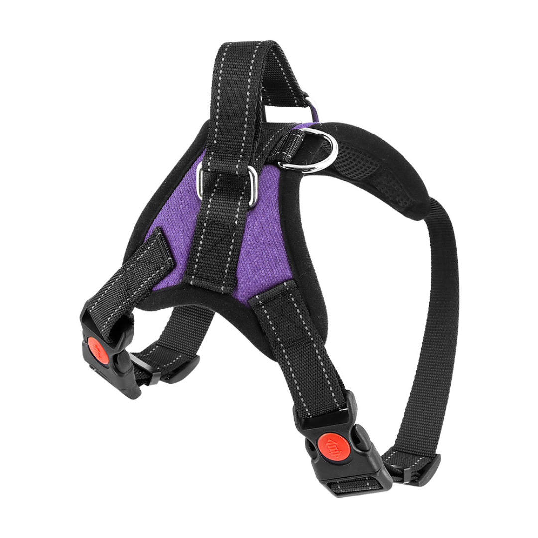 Dog Harness No-Choke Flexible Safety Harness Fall 2025 Trend Breathable Padding For Gentle Control
