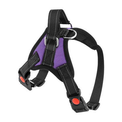 Dog Harness No-Choke Flexible Safety Harness Fall 2025 Trend Breathable Padding For Gentle Control