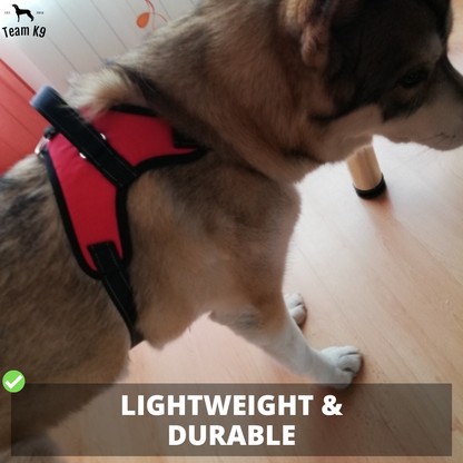 Dog Harness No-Choke Flexible Safety Harness Fall 2025 Trend Breathable Padding For Gentle Control