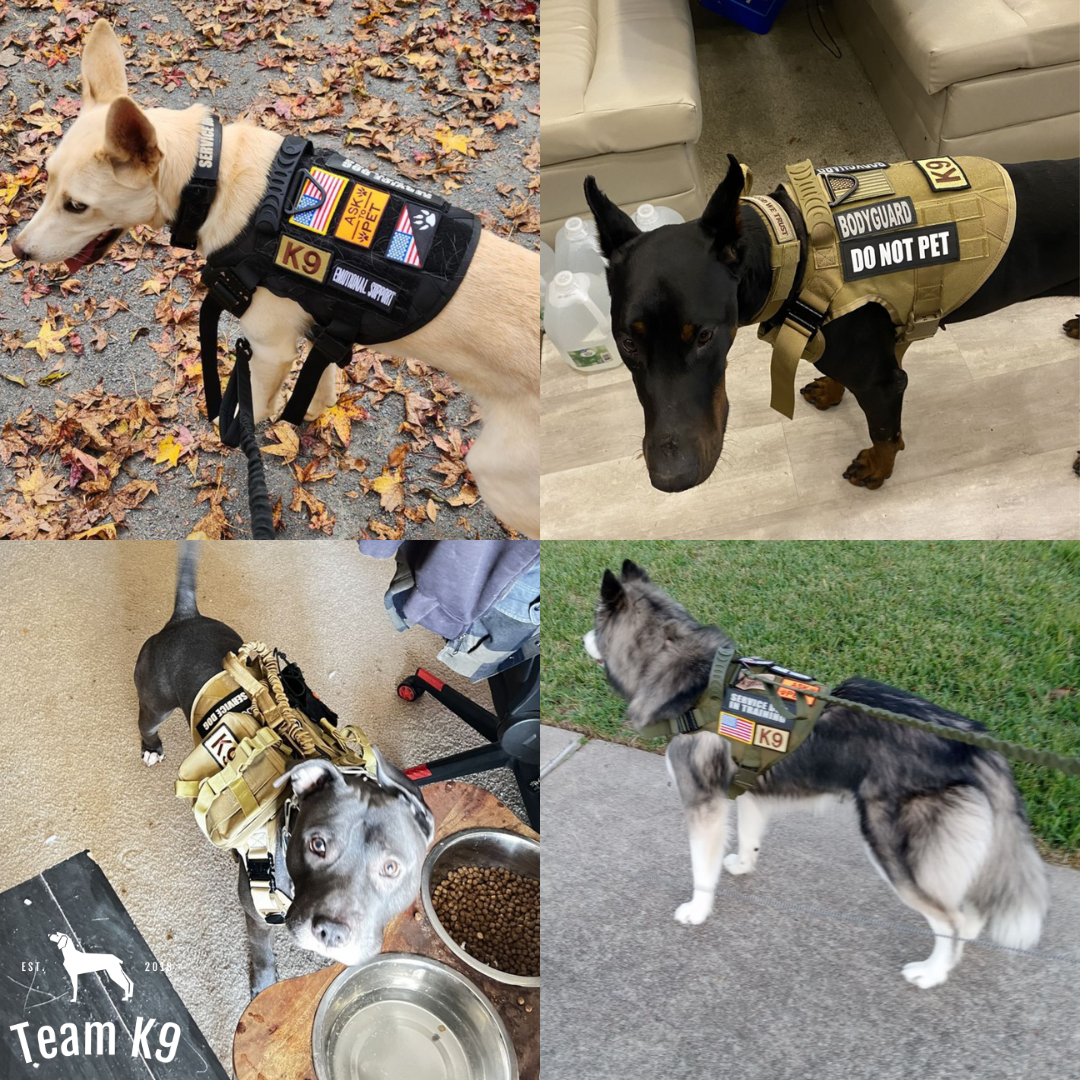 Tactical Dog Harness No-Pull With Front And Back D-Rings Fast-Release Buckles Top Handle Heavy-Duty Training