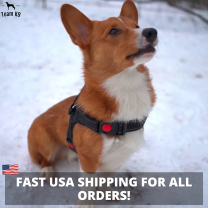 Dog Harness No-Choke Flexible Safety Harness Fall 2025 Trend Breathable Padding For Gentle Control