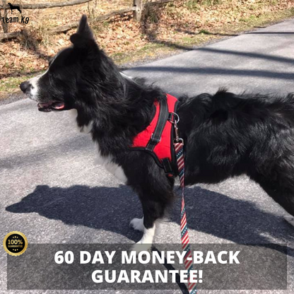Dog Harness No-Choke Flexible Safety Harness Fall 2025 Trend Breathable Padding For Gentle Control
