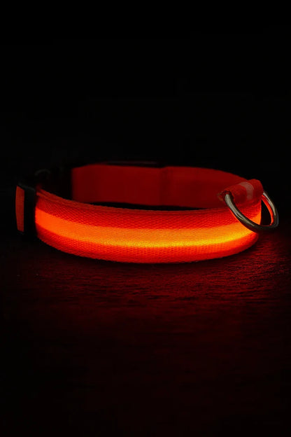 LED Dog Collar Battery-Powered Luminous Compact Dog Night Walks Fall 2025 Flashing Anti Lost Safety