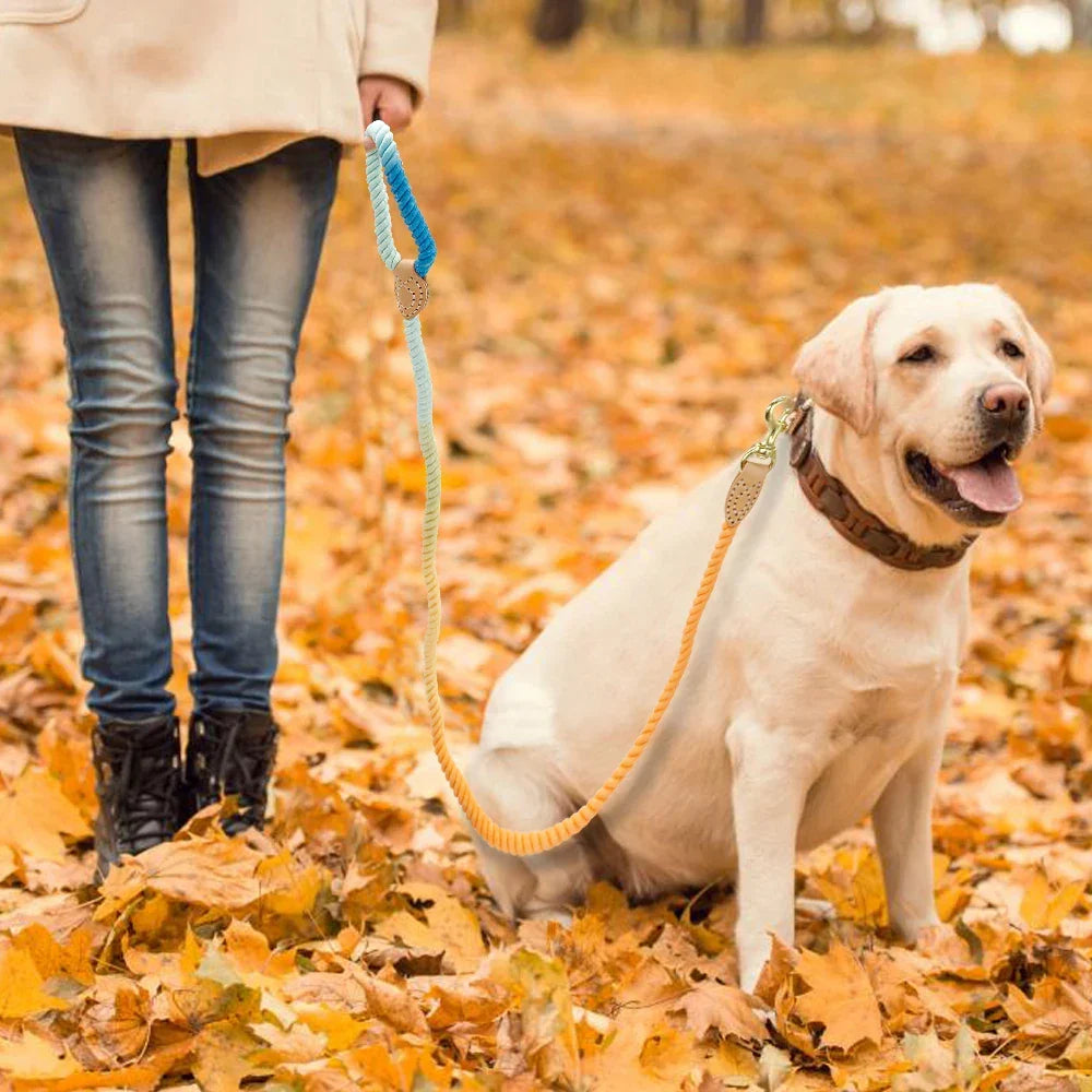 Dog Leash Rope Nylon Heavy Duty Walking Lead Hiking Training Fall 2025 Cozy Leather Wrapped Grip
