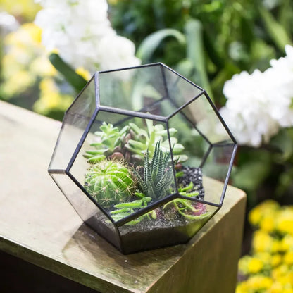Glass Terrarium Gold Patterned Planter Contemporary Desktop Plant Display Fall 2025, Succulent Bonsai Gift