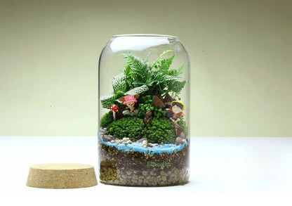 Glass Terrarium Vase Round Bottom Handmade Succulent Terrarium Kit Fall 2025 Tabletop Household Decor Gift