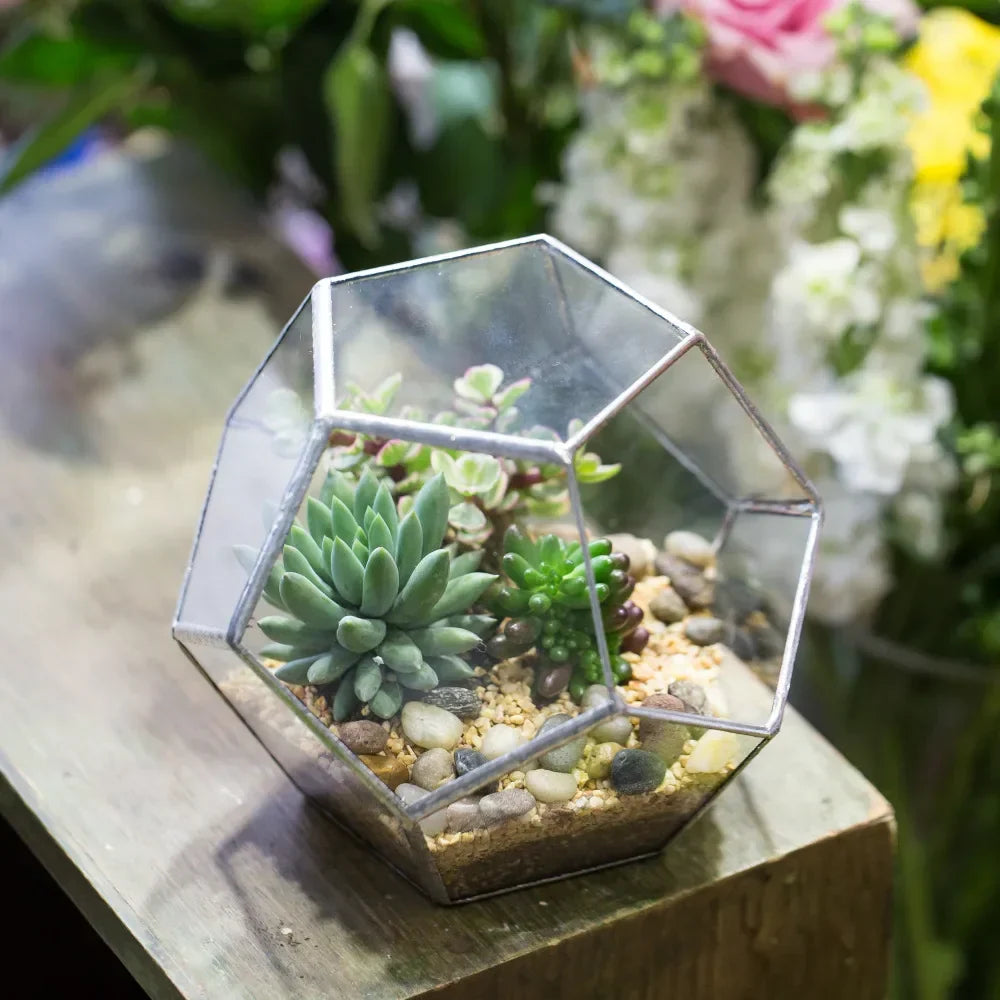 Glass Terrarium Gold Patterned Planter Contemporary Desktop Plant Display Fall 2025, Succulent Bonsai Gift
