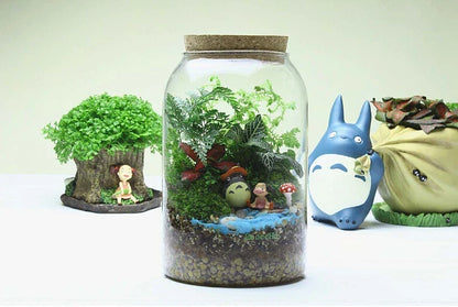 Glass Terrarium Vase Round Bottom Handmade Succulent Terrarium Kit Fall 2025 Tabletop Household Decor Gift