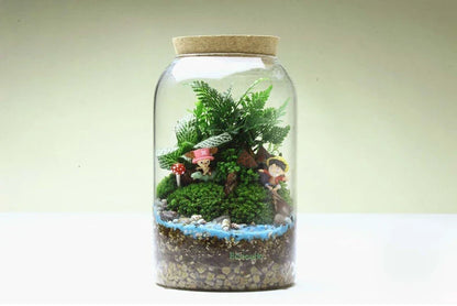 Glass Terrarium Vase Round Bottom Handmade Succulent Terrarium Kit Fall 2025 Tabletop Household Decor Gift