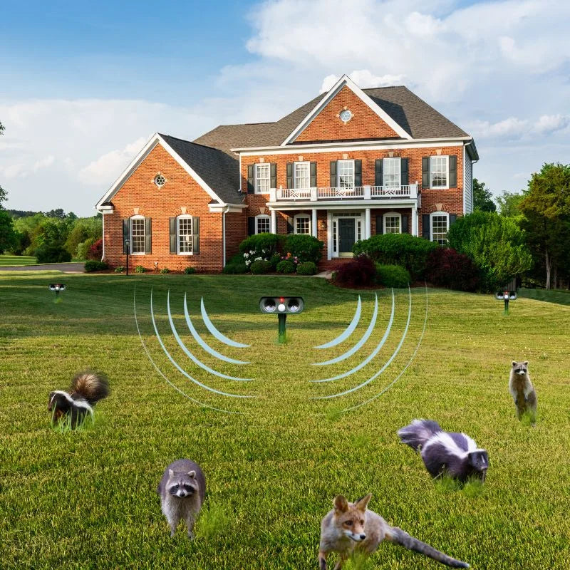 Ultrasonic Raccoon Repeller Motion Fall Pest Control