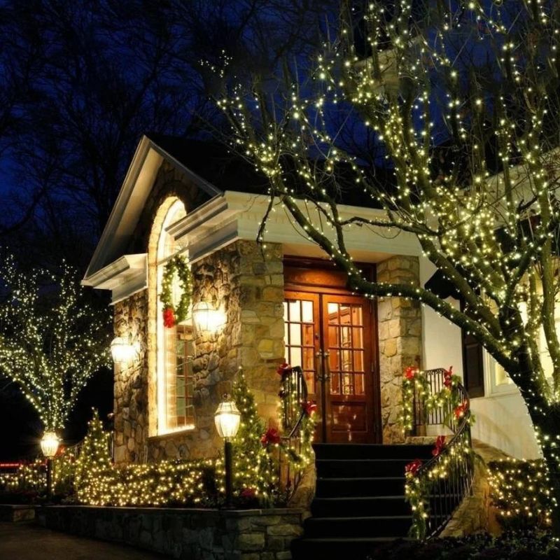 String LED Lights Indoor Outdoor Fairy Holiday Decor