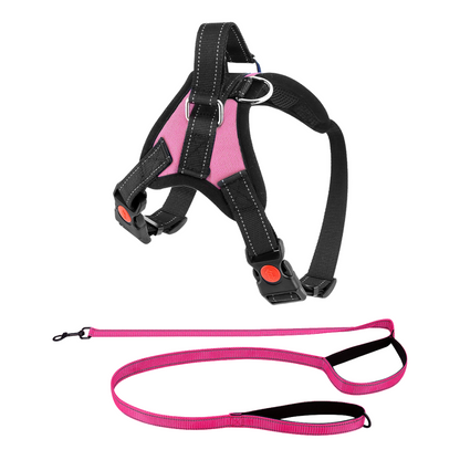 Dog Harness No-Choke Flexible Safety Harness Fall 2025 Trend Breathable Padding For Gentle Control