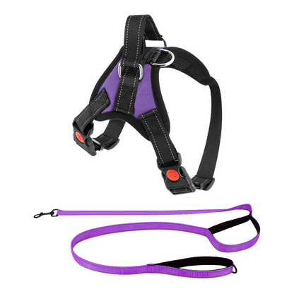 Dog Harness No-Choke Flexible Safety Harness Fall 2025 Trend Breathable Padding For Gentle Control