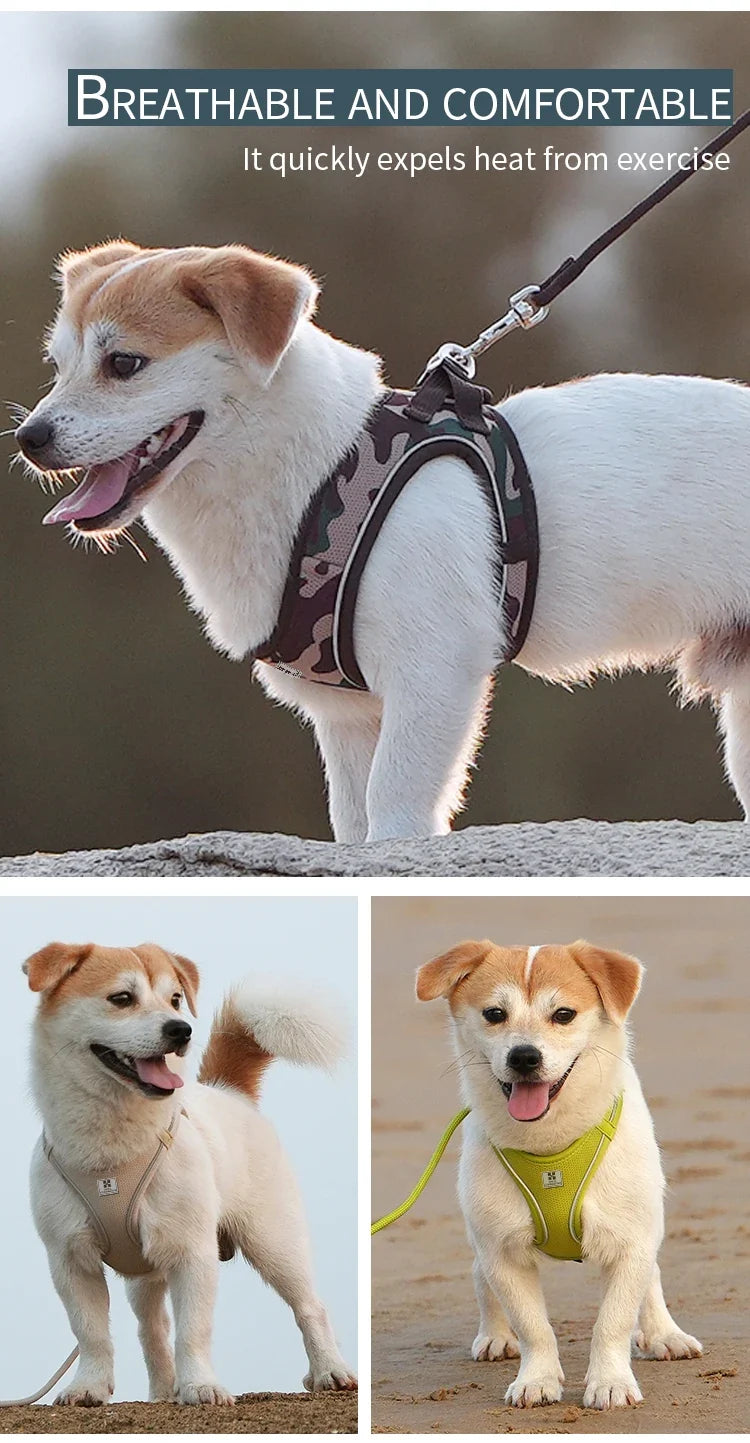 Dog Harness Leash Kit Reflective Padded Vest All Seasons Outdoor Walking Gift Idea