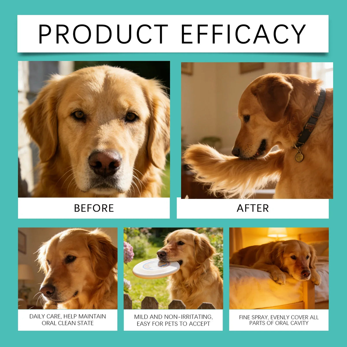 Organic Bad Breath Freshener Dog Cat Teeth Cleaning Plaque Reducer 2026 – Pet Oral Maintenance Spray 100ml