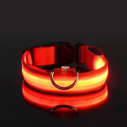 LED Dog Collar Glow In The Dark Night Safety Luminous Fall 2026 Trend Great Gift Idea