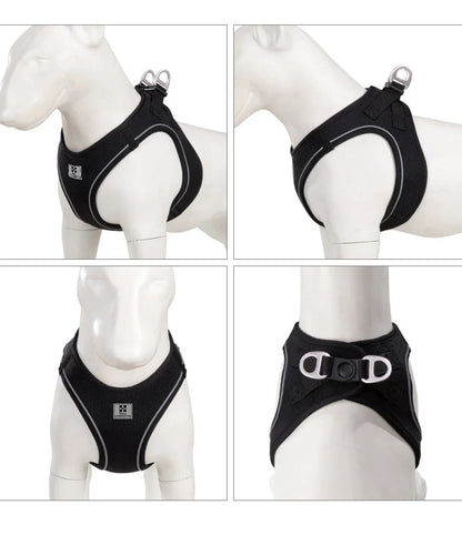 Dog Harness Leash Kit Reflective Padded Vest All Seasons Outdoor Walking Gift Idea