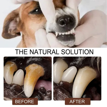 Pet Grooming Maintenance Dental Spray for Dogs & Cats - Bad Breath Freshener & Oral Cleaning, 30ml
