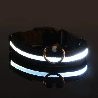 LED Dog Collar Glow In The Dark Night Safety Luminous Fall 2026 Trend Great Gift Idea