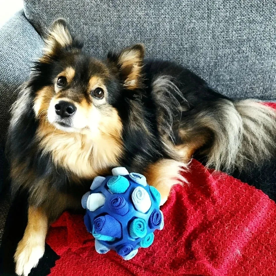 Bite Resistant Rubber Interactive Nose Work Foraging Enrichment Toy for Dogs 2026 – Dog Snuffle Ball Toy