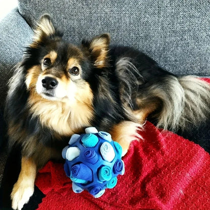 Bite Resistant Rubber Interactive Nose Work Foraging Enrichment Toy for Dogs 2026 – Dog Snuffle Ball Toy