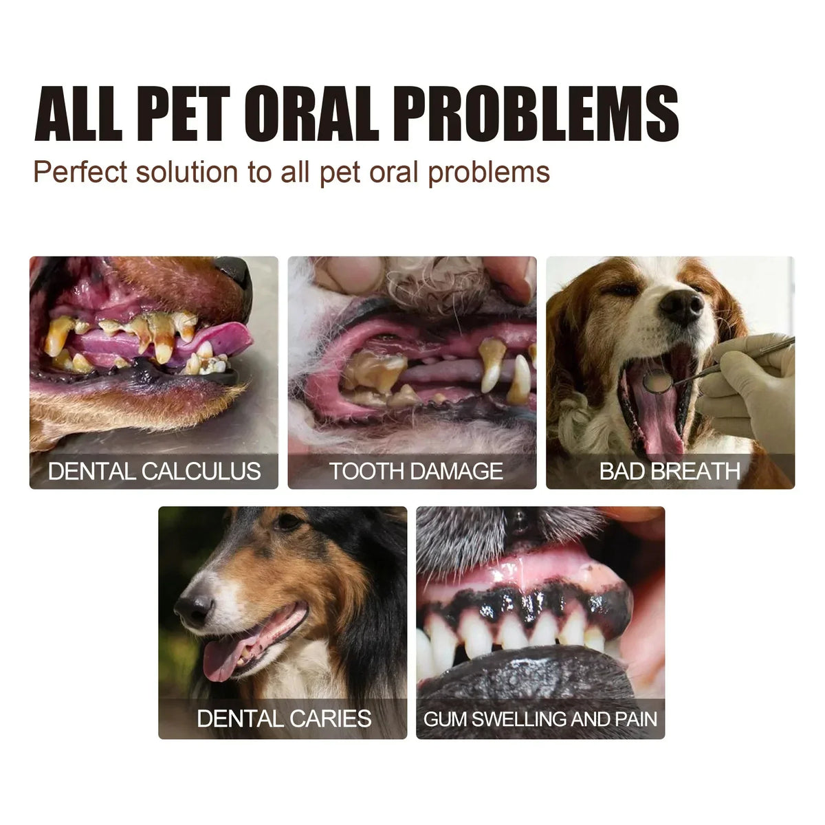Pet Grooming Maintenance Dental Spray for Dogs & Cats - Bad Breath Freshener & Oral Cleaning, 30ml