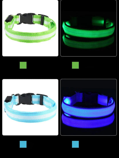 LED Dog Collar Glow In The Dark Night Safety Luminous Fall 2026 Trend Great Gift Idea