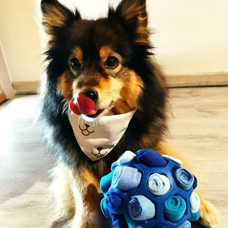 Bite Resistant Rubber Interactive Nose Work Foraging Enrichment Toy for Dogs 2026 – Dog Snuffle Ball Toy