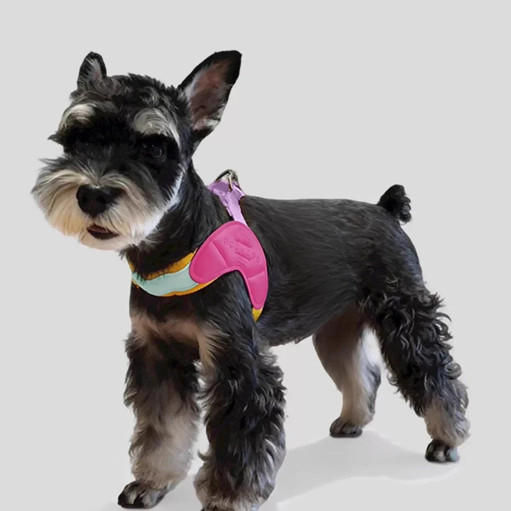 Dog Harness Y Shaped Flexible Chest Straps Polyester Blends Summer 2026 Outdoor Use Simple Fit