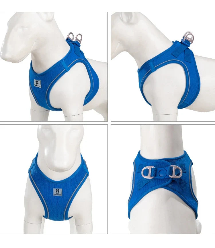 Dog Harness Leash Kit Reflective Padded Vest All Seasons Outdoor Walking Gift Idea