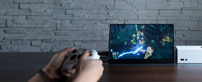 OLED 13.3 Inch Travel-Friendly Monitor 1ms HDR 100 Percent DCI P3