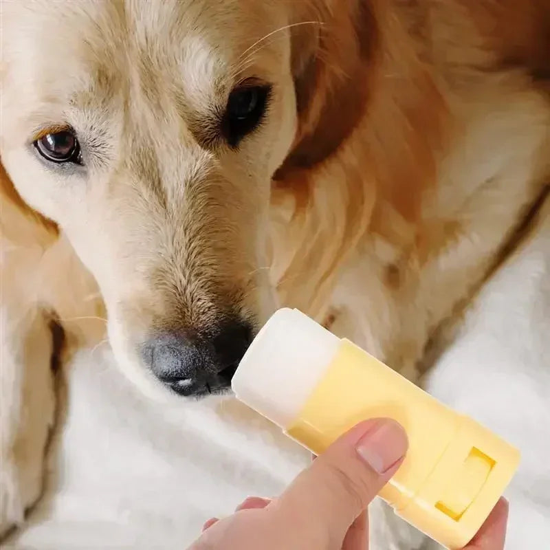 Pet Paw Balm for Dogs & Cats - 15g Moisturizer for Cracked Paws & Nose, Winter Maintenance Cream