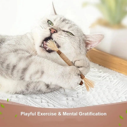 Organic Silver Vine Cat Dental Chew Rod - Bite-Resistant Matatabi Teeth Cleaning Toy