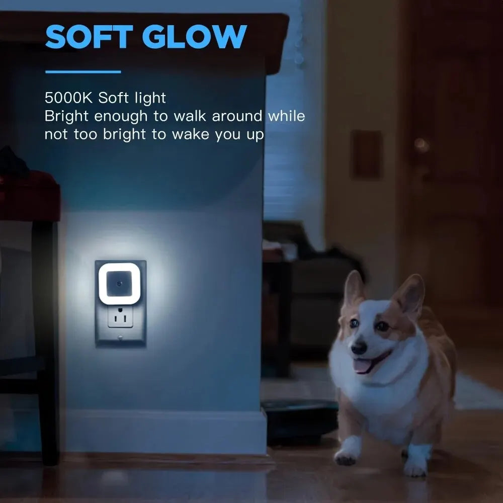 Night LED Light Motion Sensor Ambient Lighting Fall 2026 Energy Saving Auto On At Night